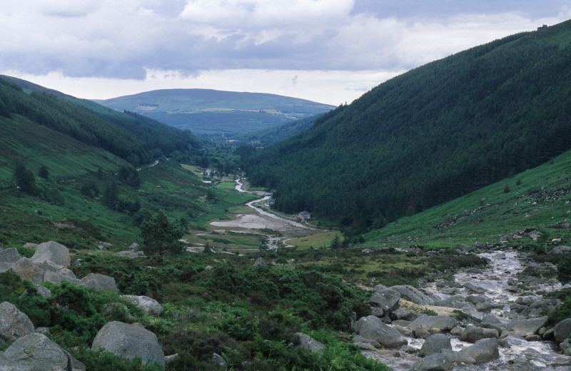 Sally Gap, Wicklow Mountains 07/2007