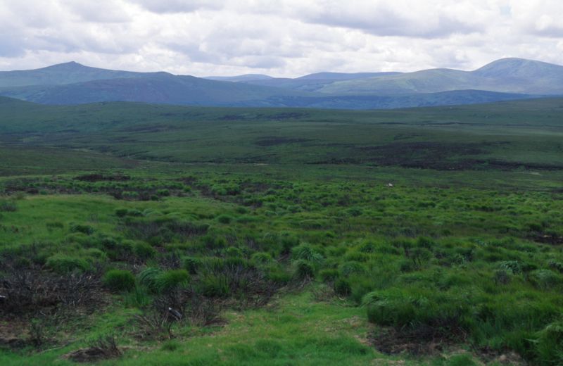 bei Sally Gap, Wicklow Mountains 07/2007