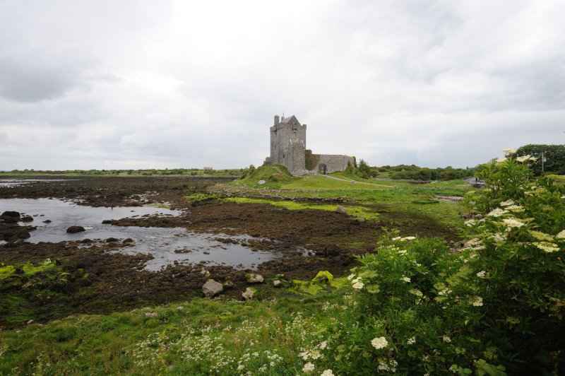 Dunguaire Castle, 06.2009