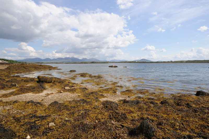 Roundstone, 06.2009