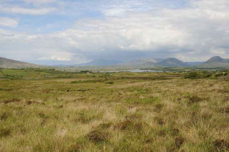 Connemara, Co. Galway, 06.2009