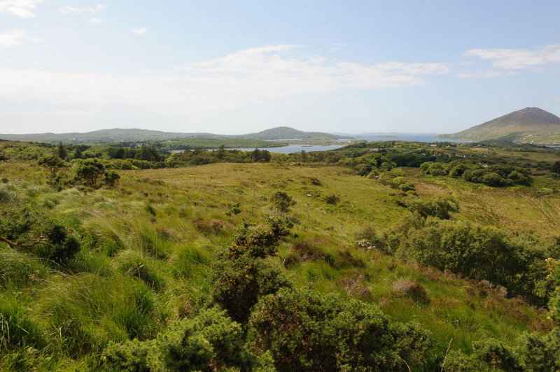 Connemara, Co. Galway, 06.2009