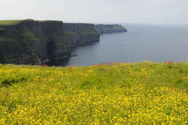 Cliffs of Moher, 06.2009