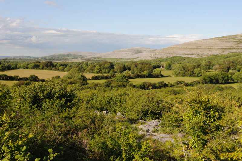 Burren, 06.2009