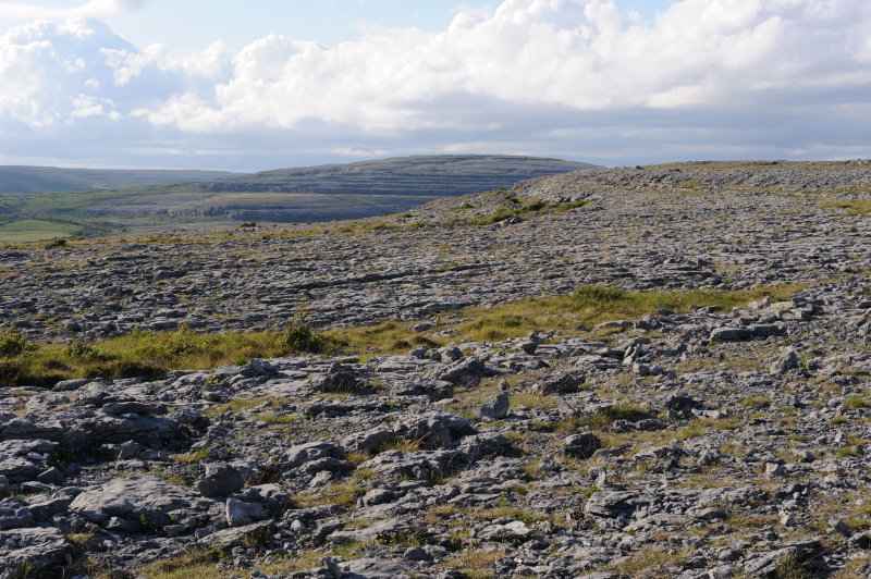 Burren, 06.2009