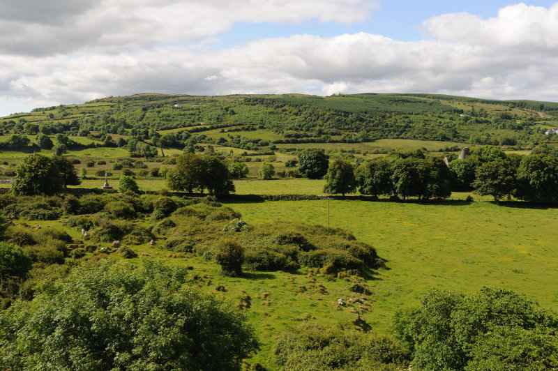 Dysent O�Dea, 06.2009