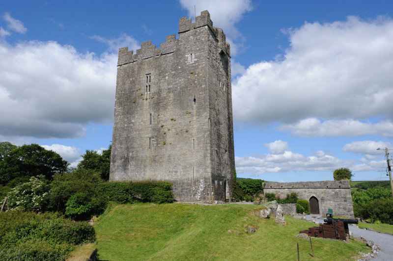 Dysent O�Dea Castle, 06.2009