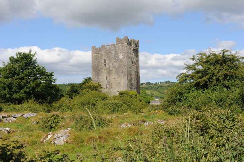 Dysent O�Dea Castle, 06.2009