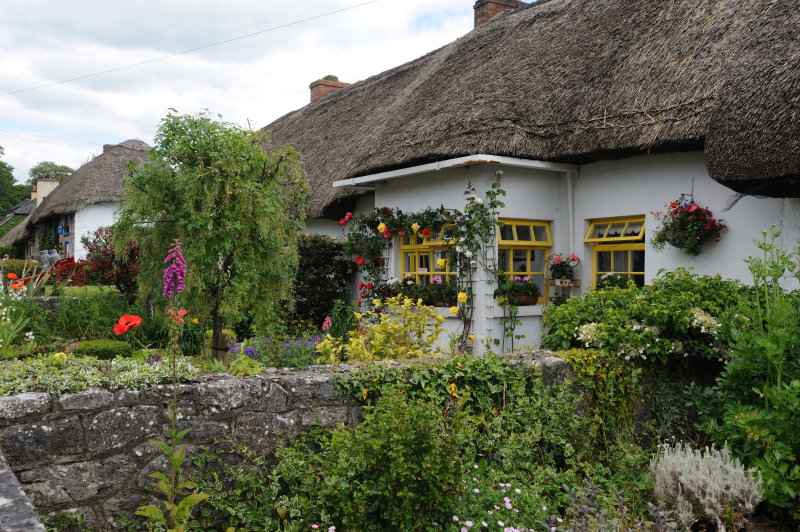 Adare, 06.2009