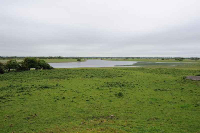 Clonmacnoise, 06.2009
