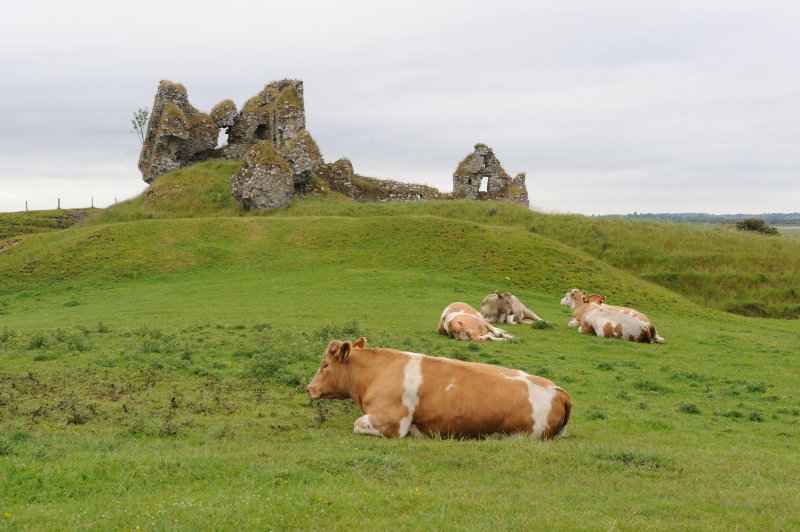 Clonmacnoise, 06.2009