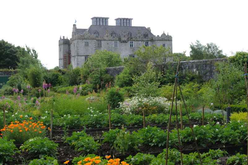 Portumna Castle, 06.2009
