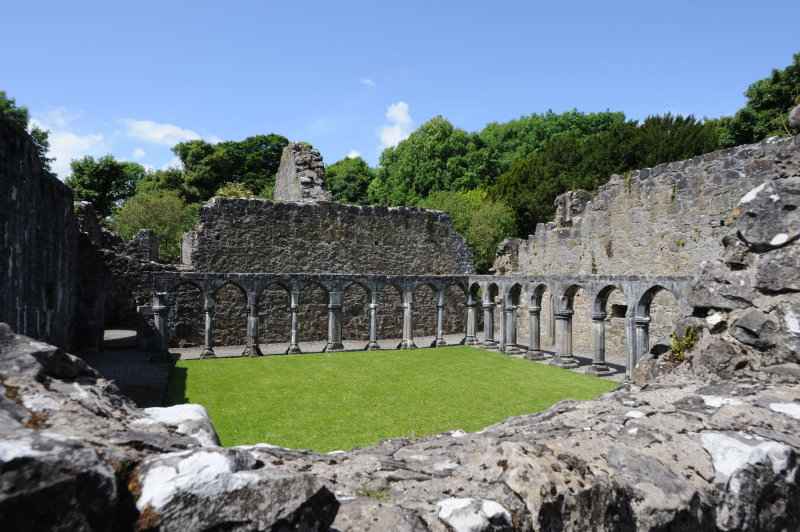 Portumna Friary, 06.2009