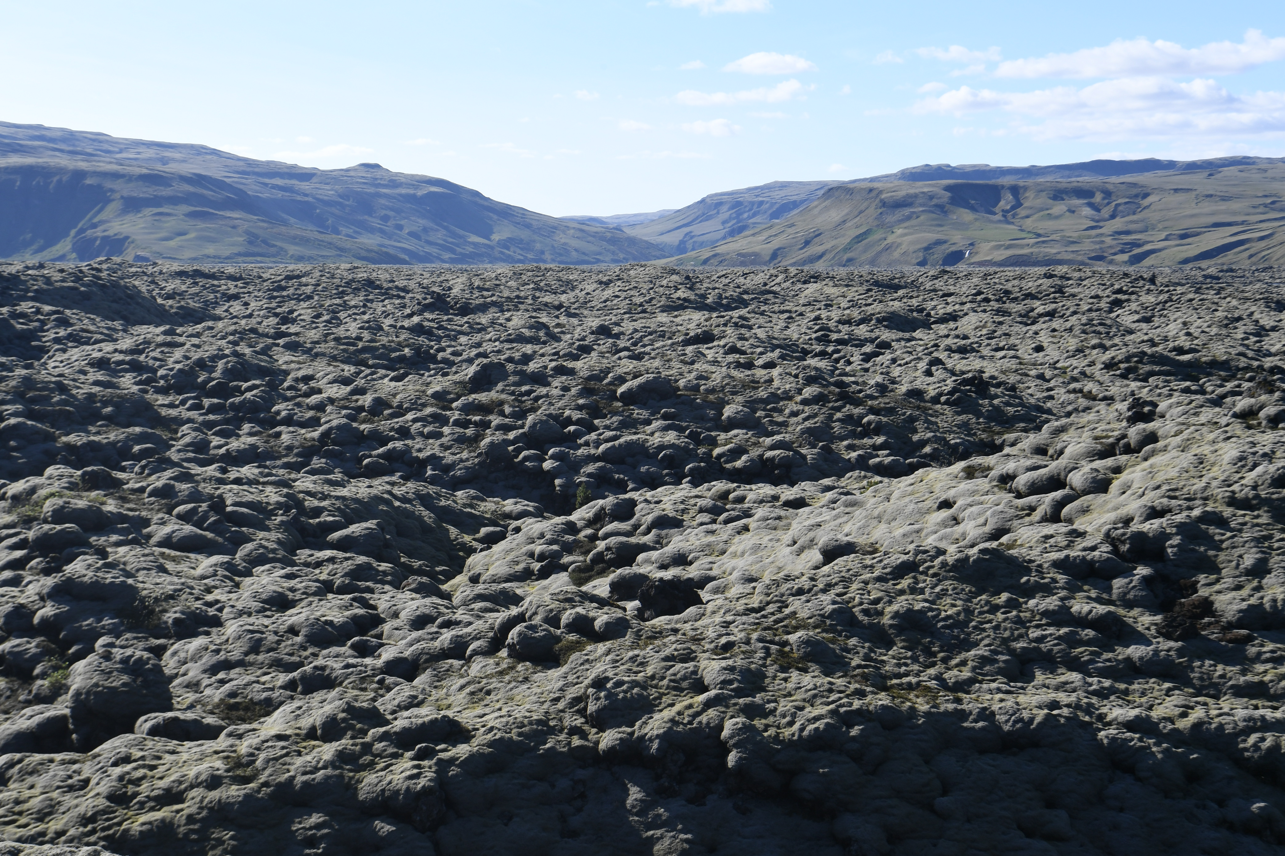 Mossy Lava Fields
