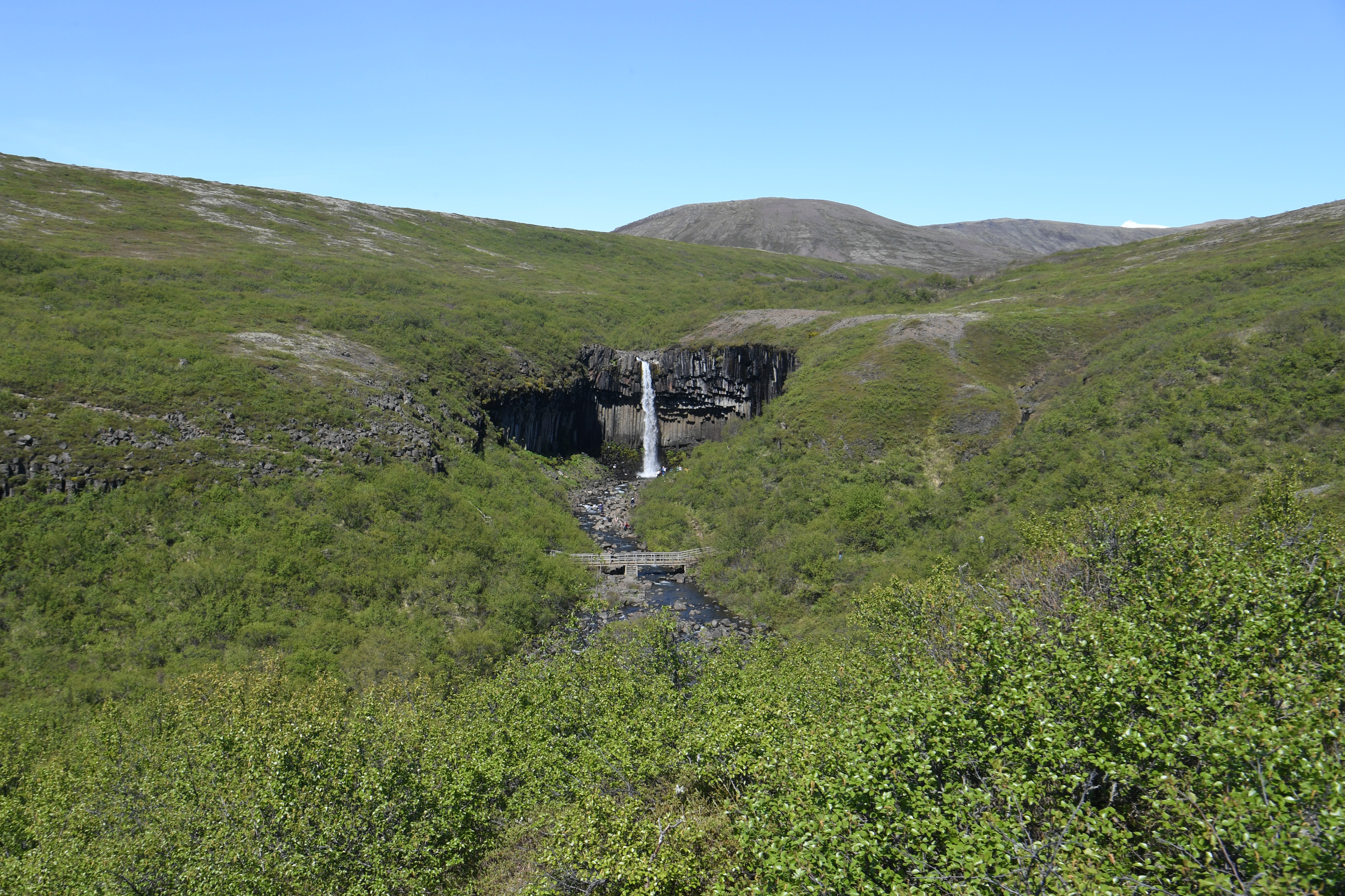 Svartifoss