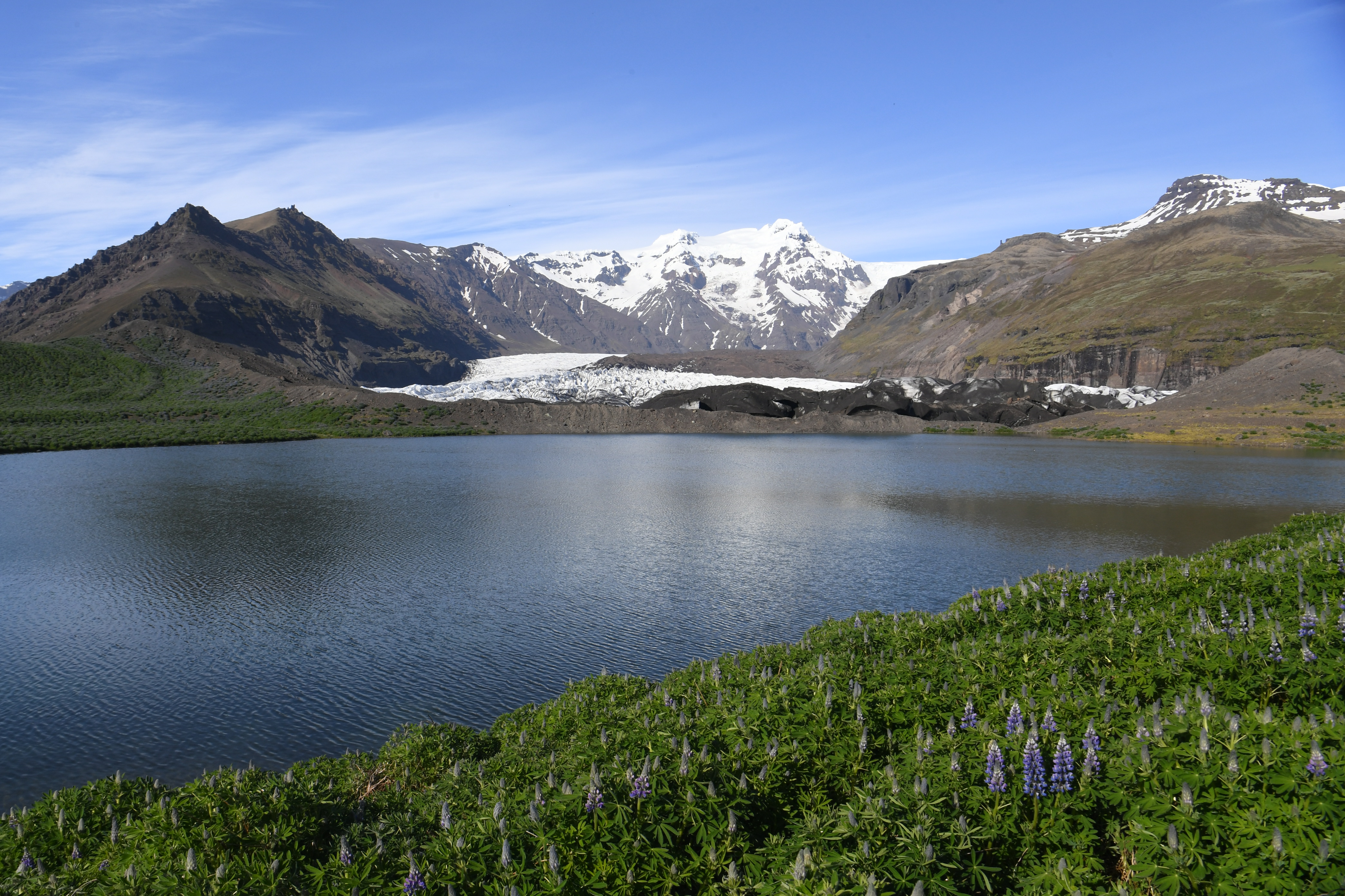 Svínafellsjokull