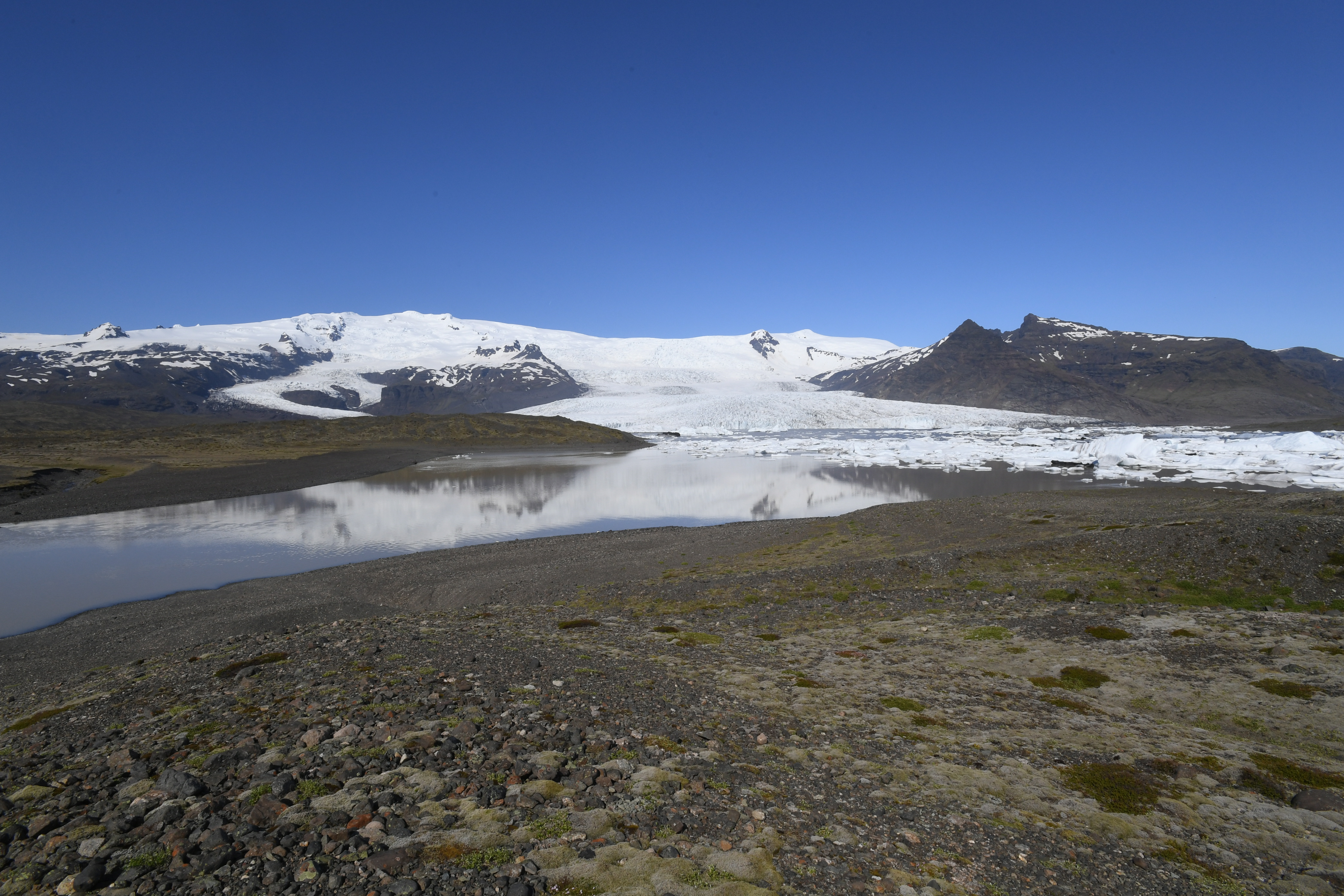 Fjallsarlon