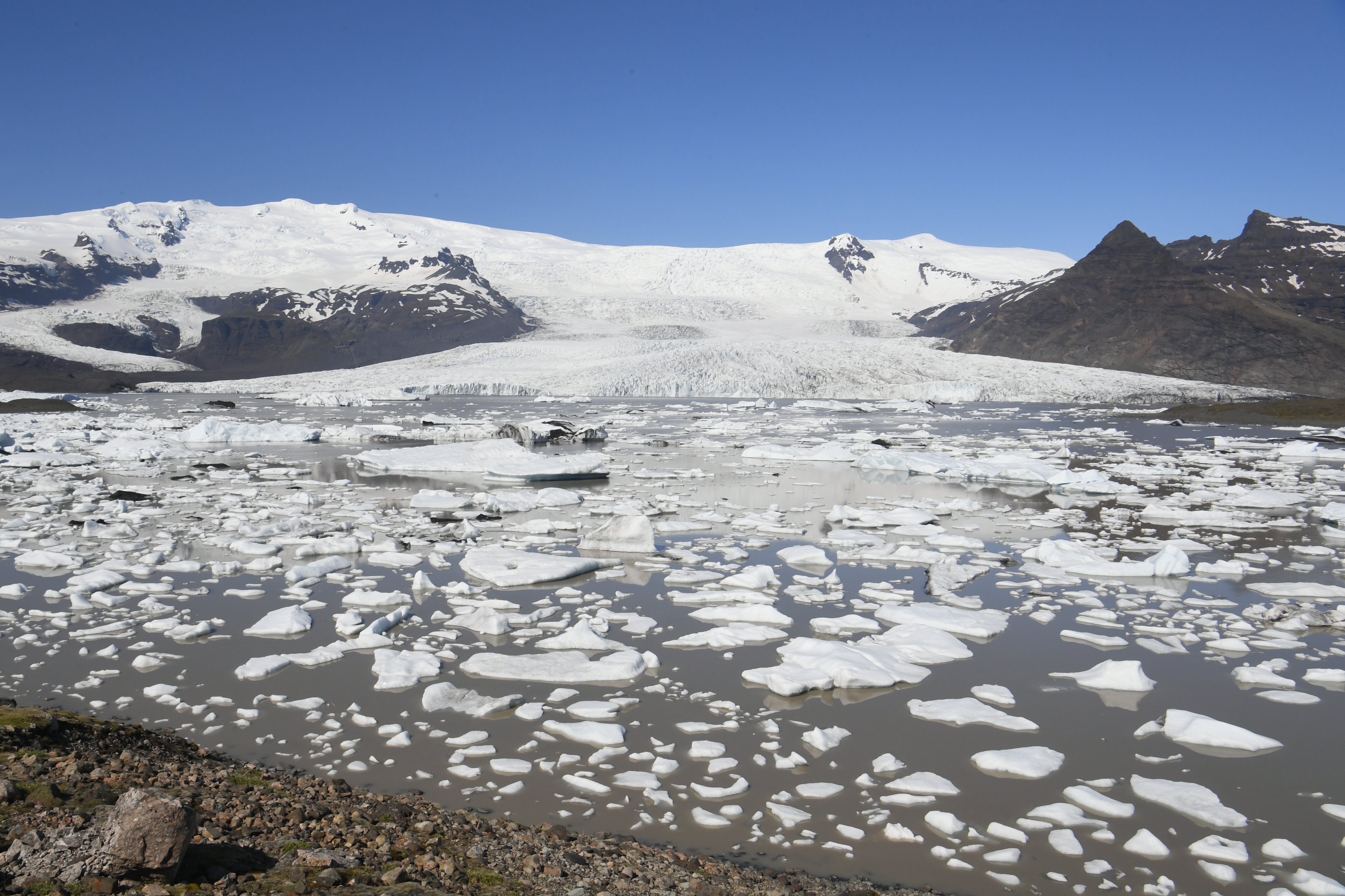 Fjallsarlon