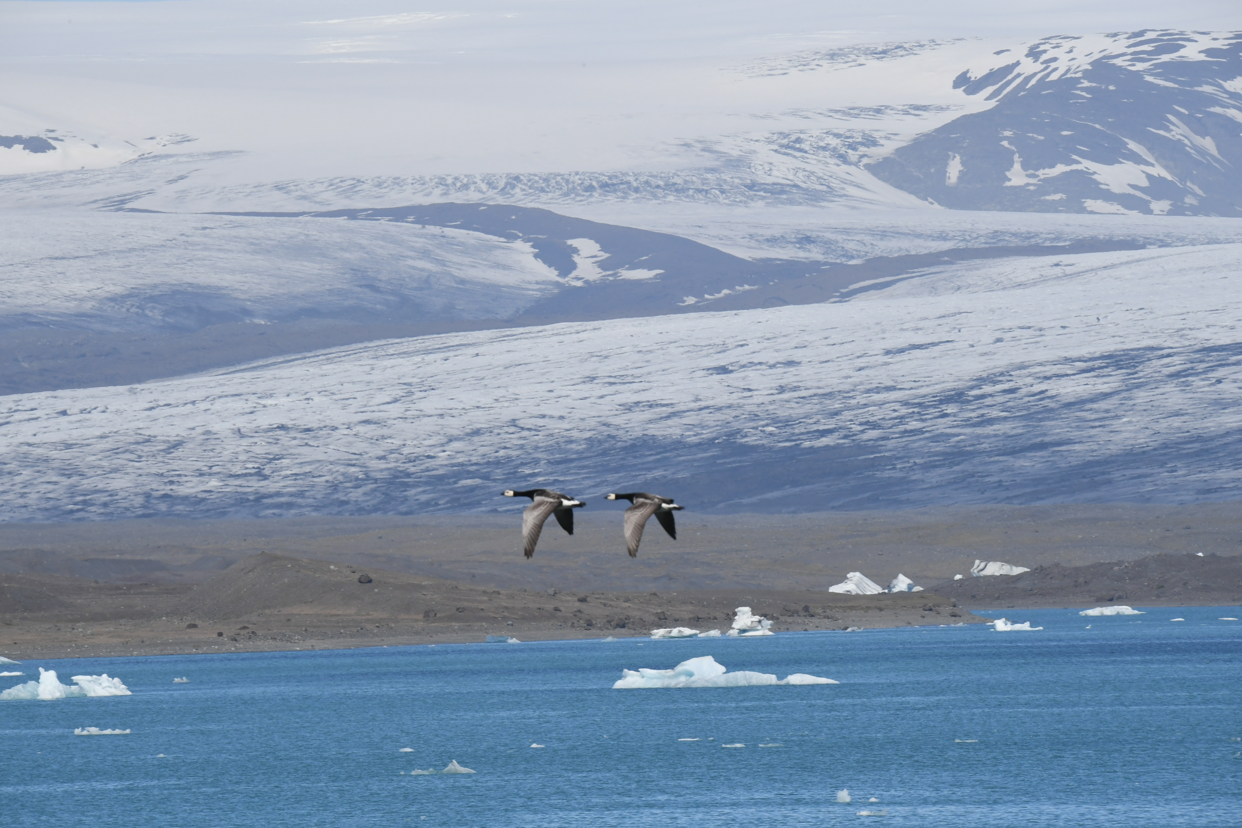 Jokulsarlon