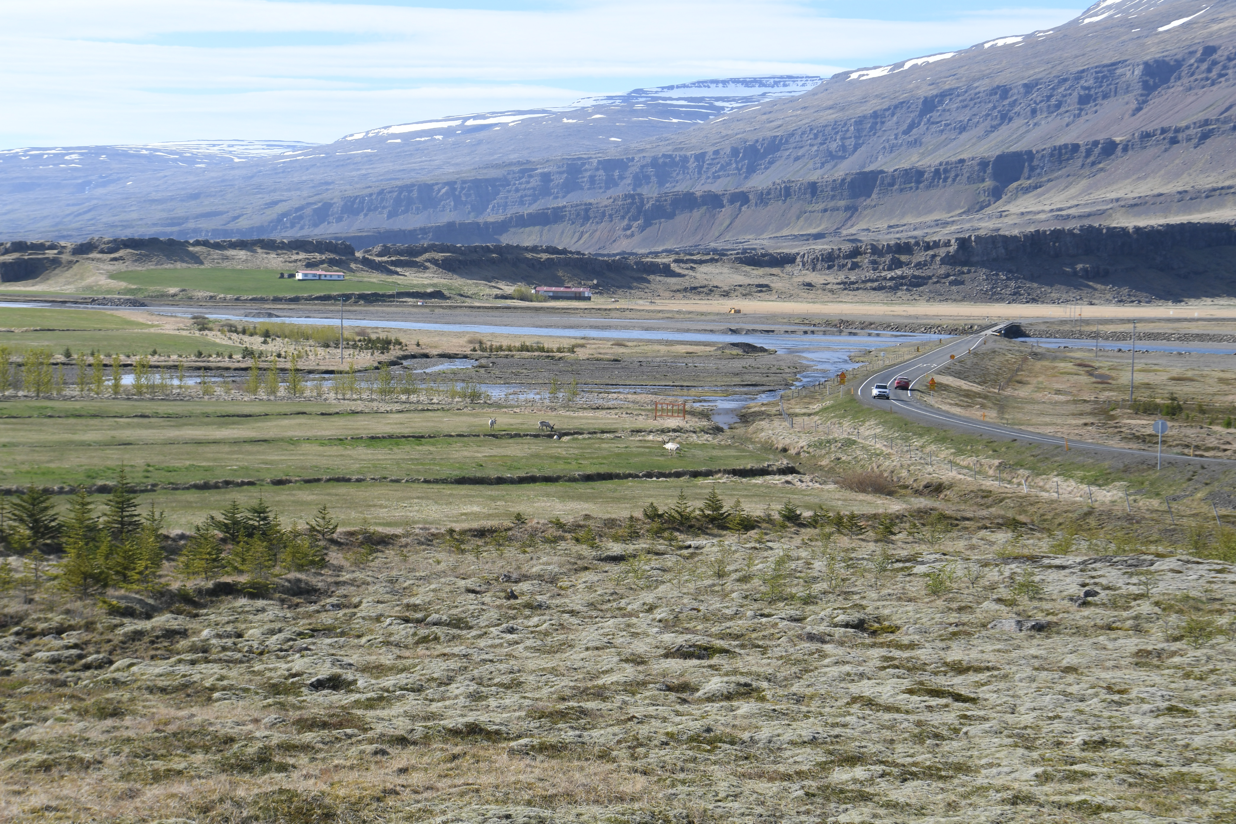 Route 1, nahe Bragdavellir sumarhus