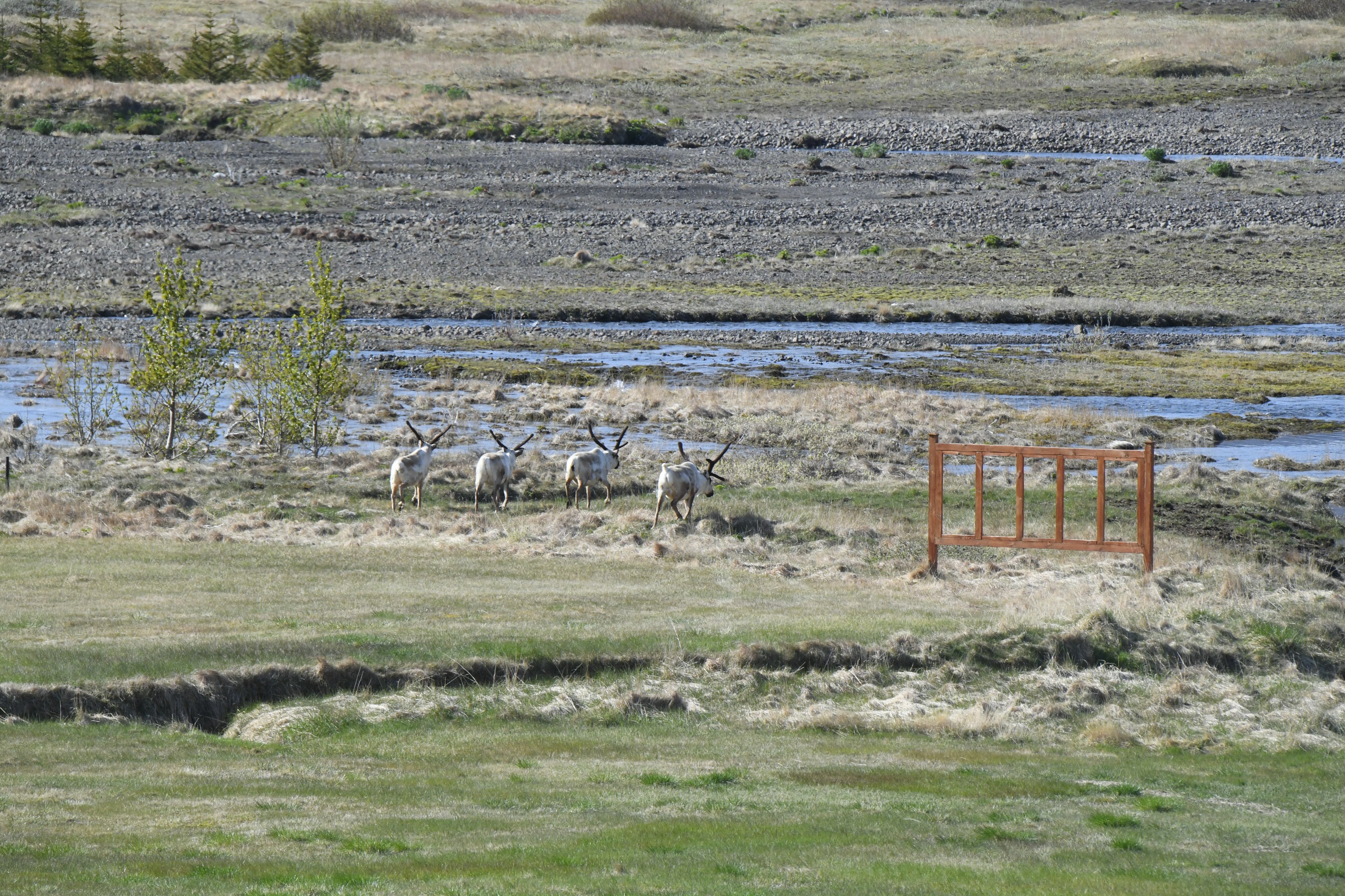 Route 1, nahe Bragdavellir sumarhus