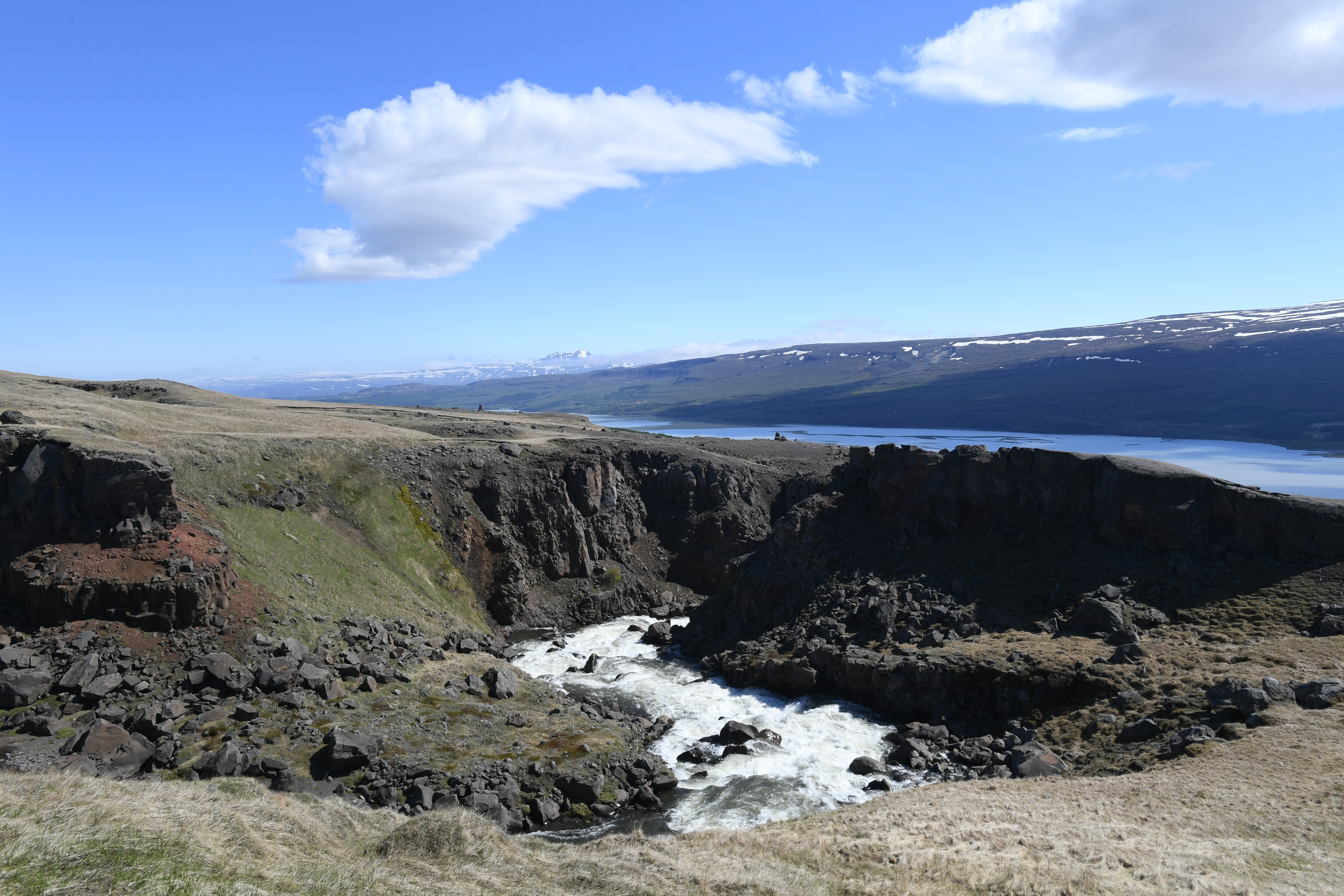 See Lagerfjlot