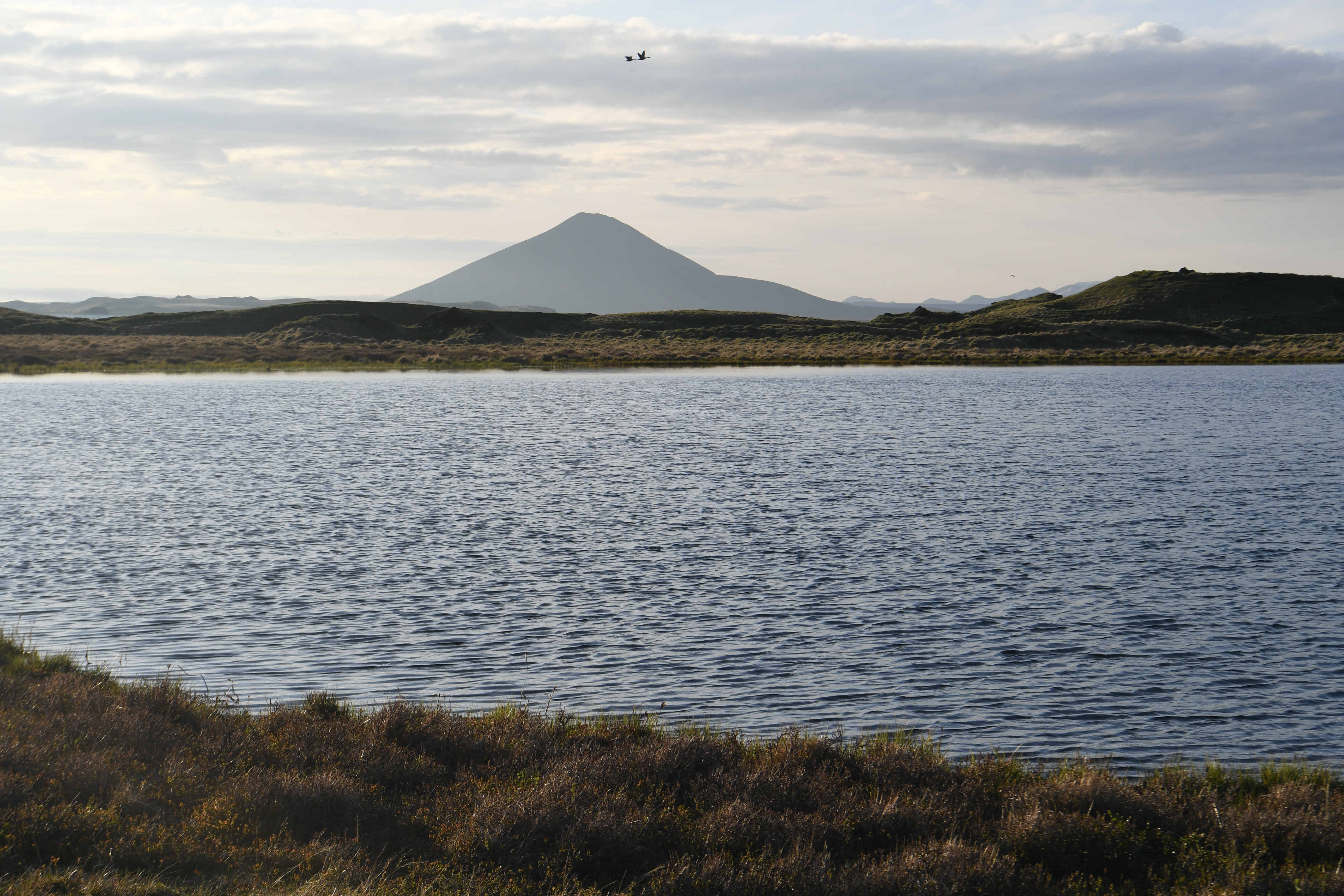 Myvatn