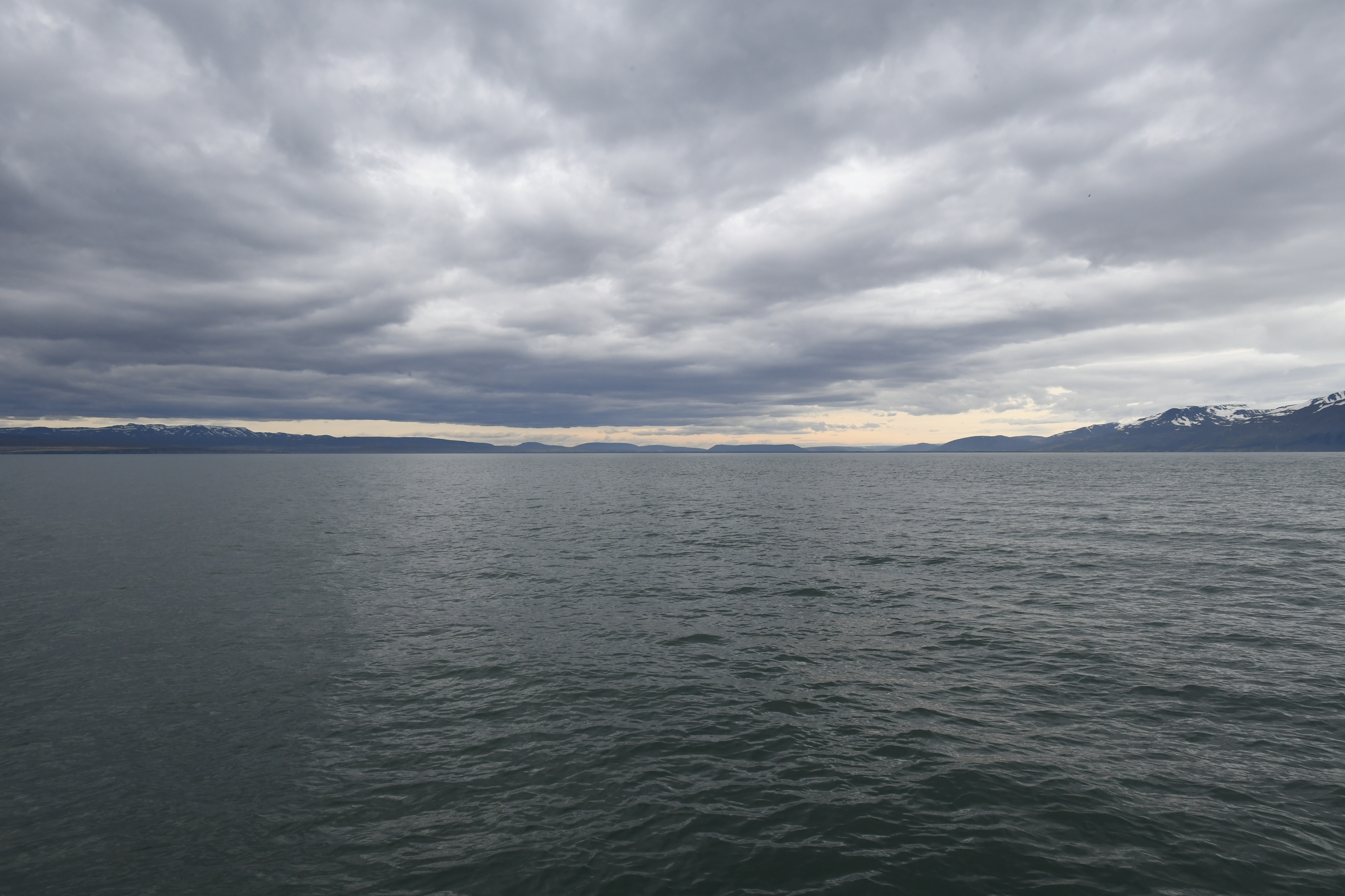 Husavik