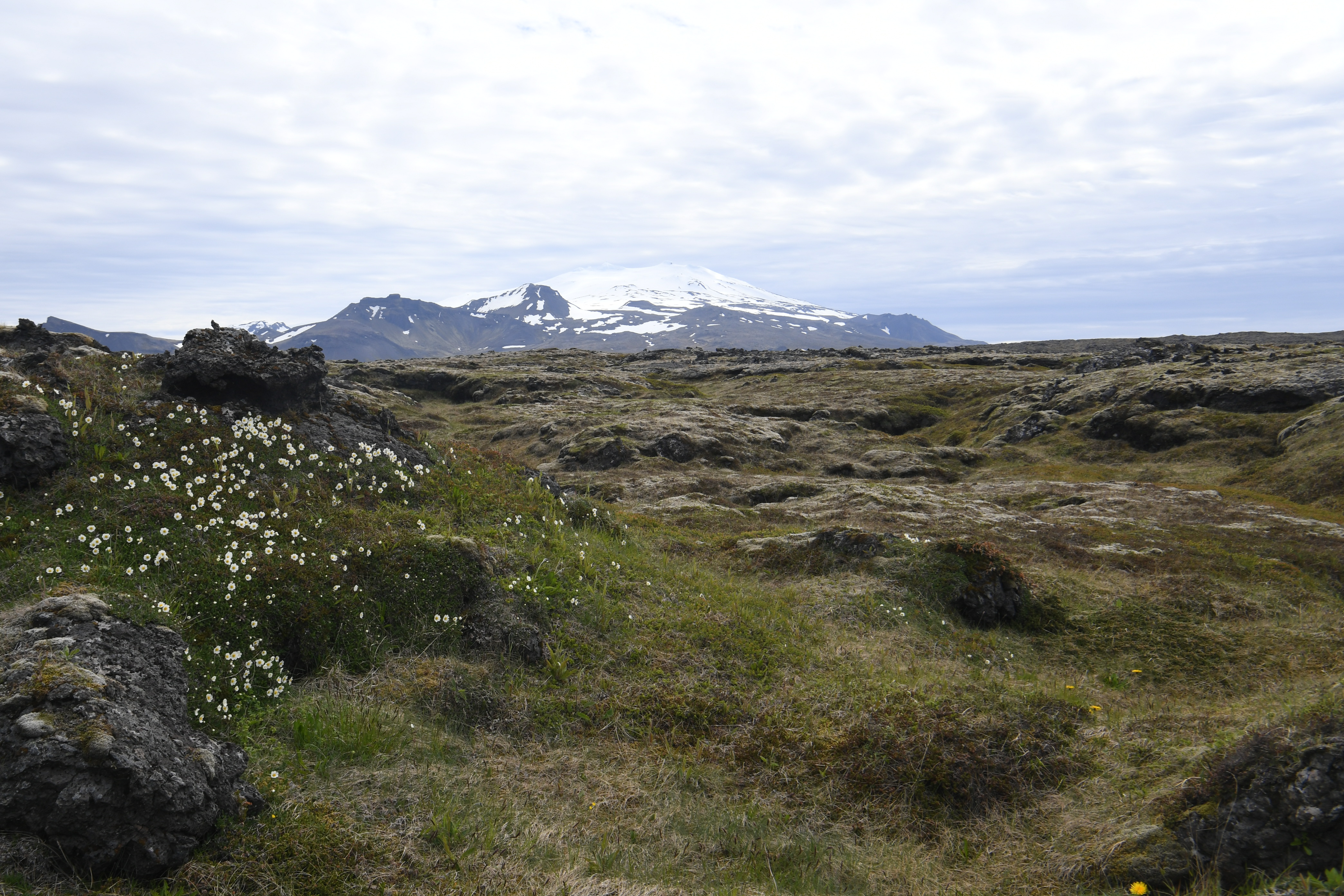 Snaefellsjokull