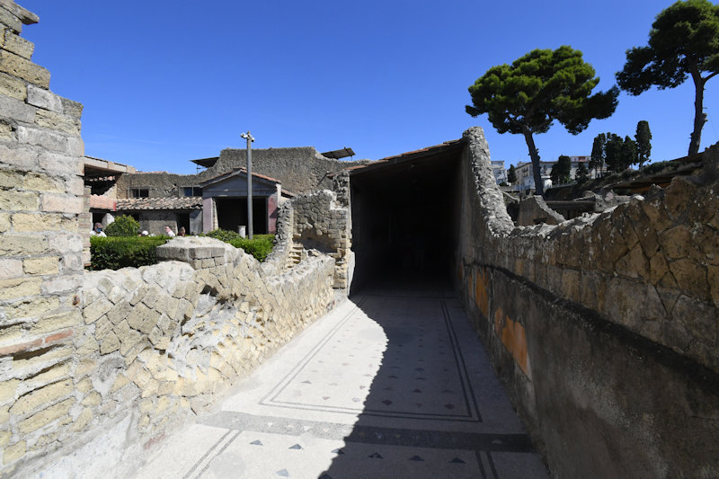 Casa dei Cervi, Herculaneum
