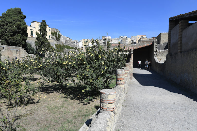 Herculaneum