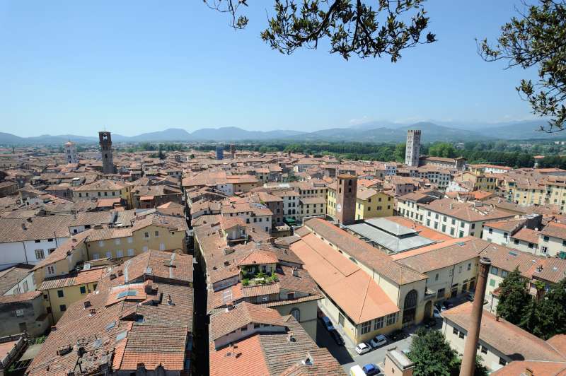 Lucca, 07.2012
