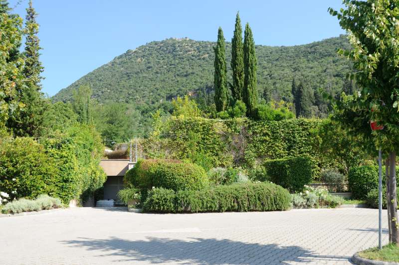 Monsummano Alto, 07.2012