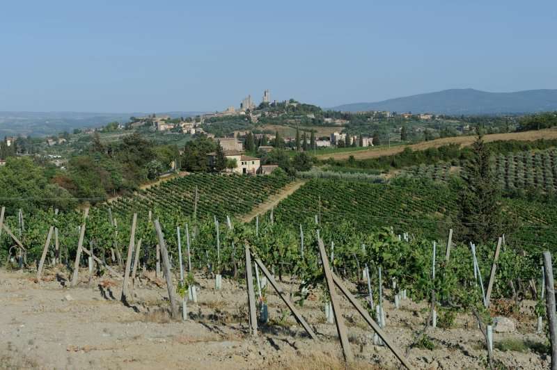 San Gemignano, 07.2012