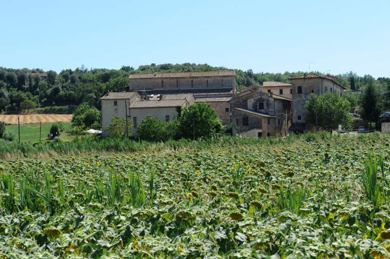 Abbadia a Isola, 07.2012