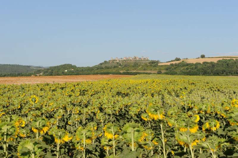 Monteriggioni, 07.2012