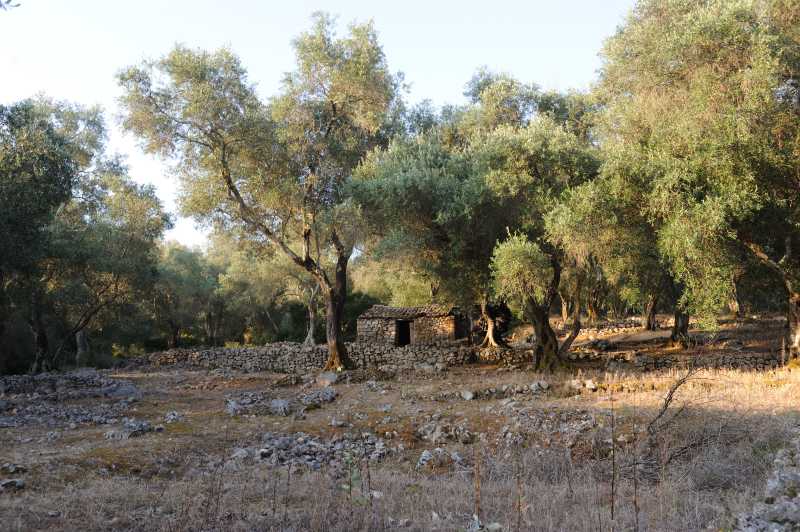 Umgebung Liapades, 07.2010