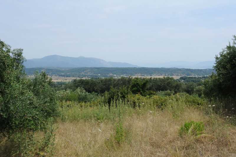 Umgebung Giannades, 07.2010
