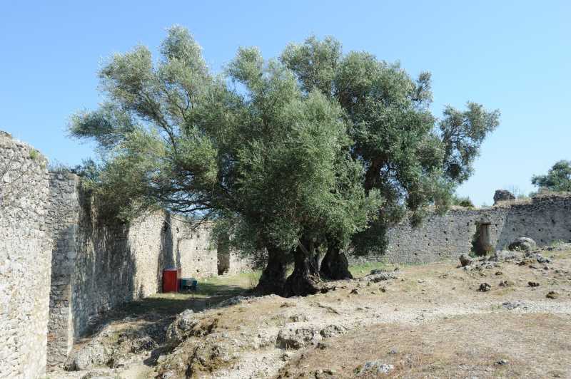 Gardiki, 07.2010