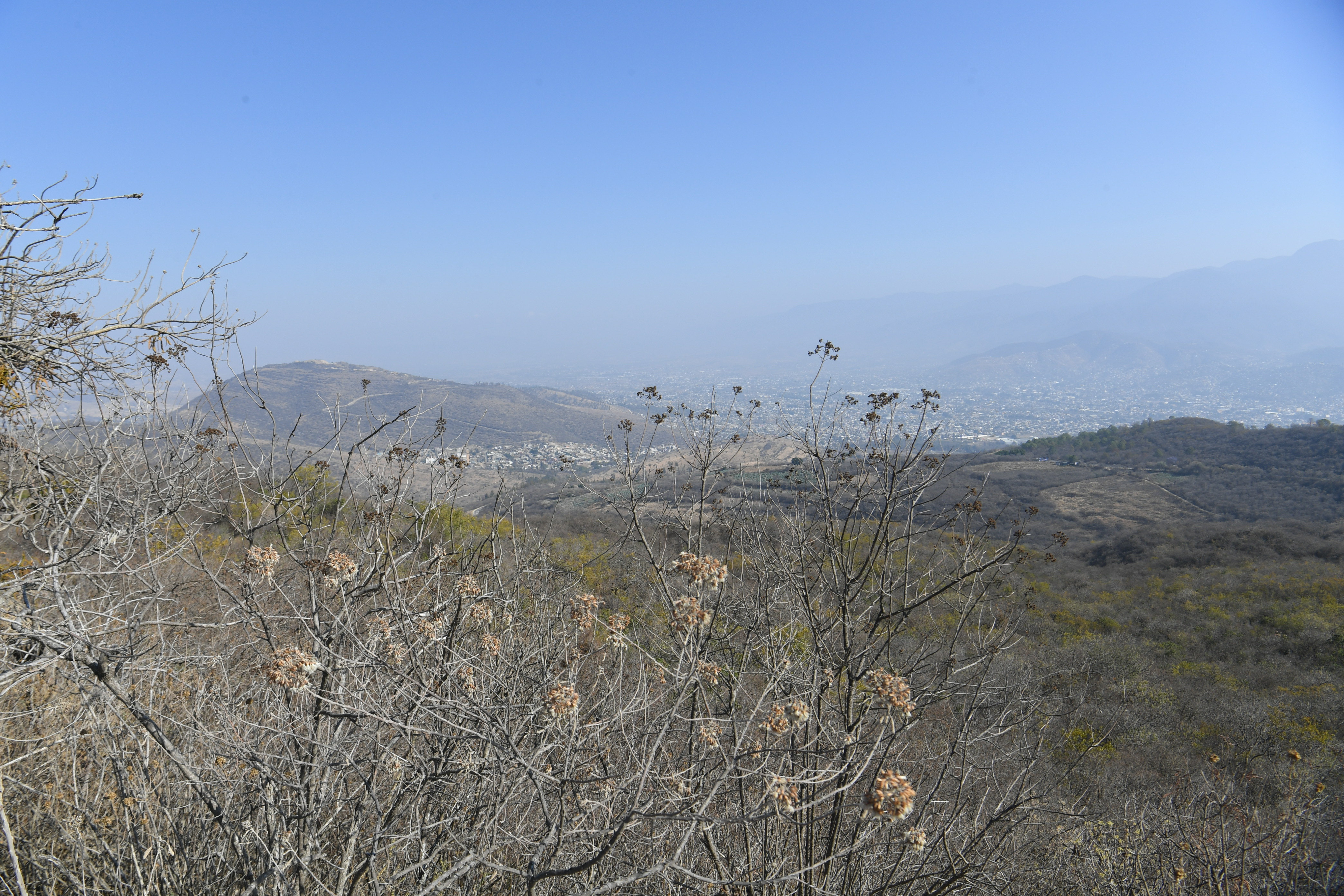 Monte Alban