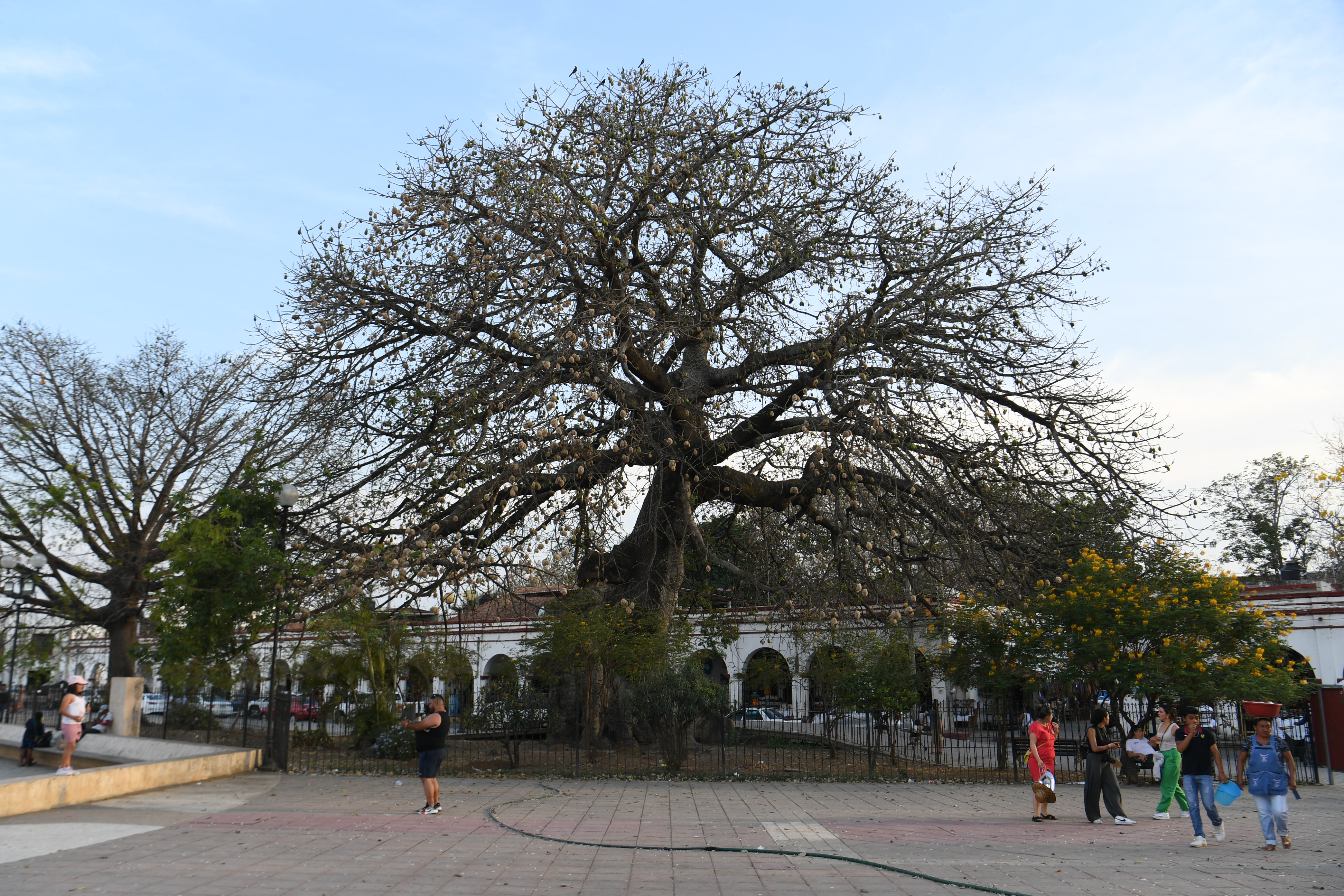Chiapa de Corzo