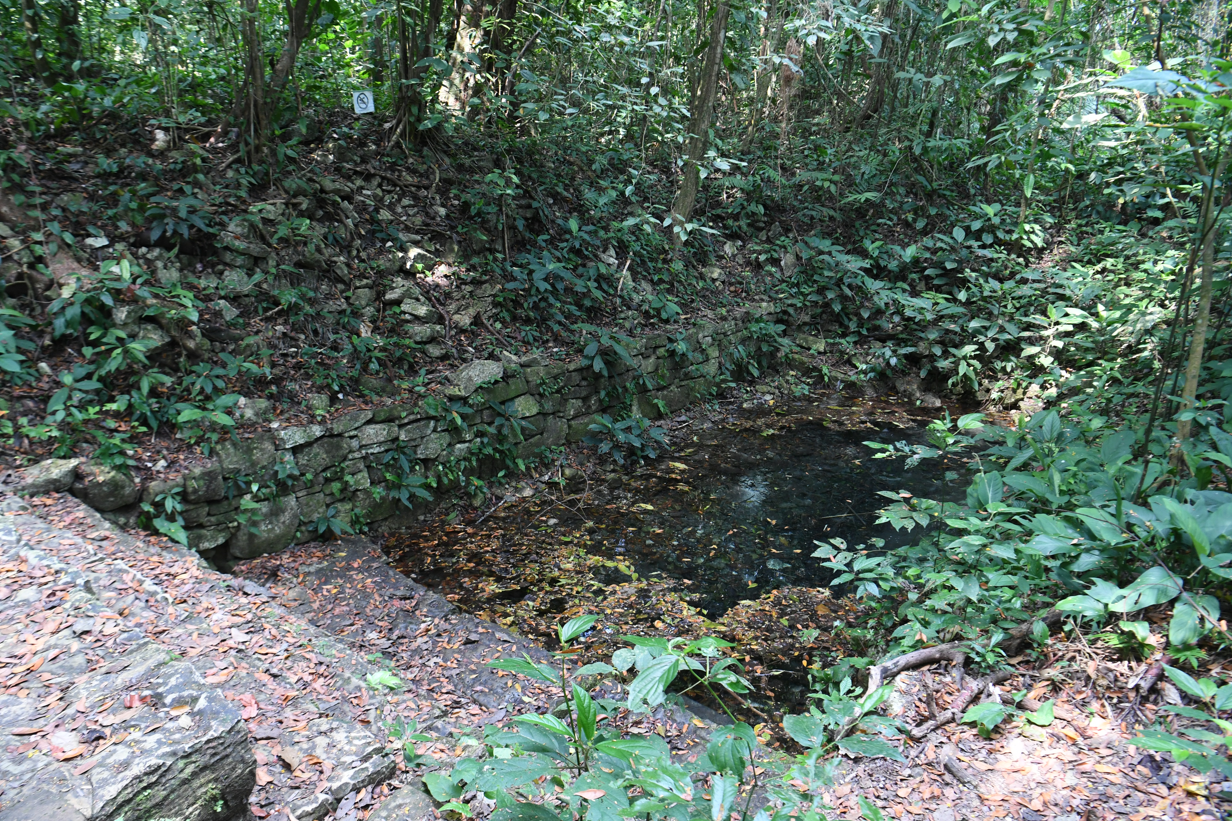 Palanque