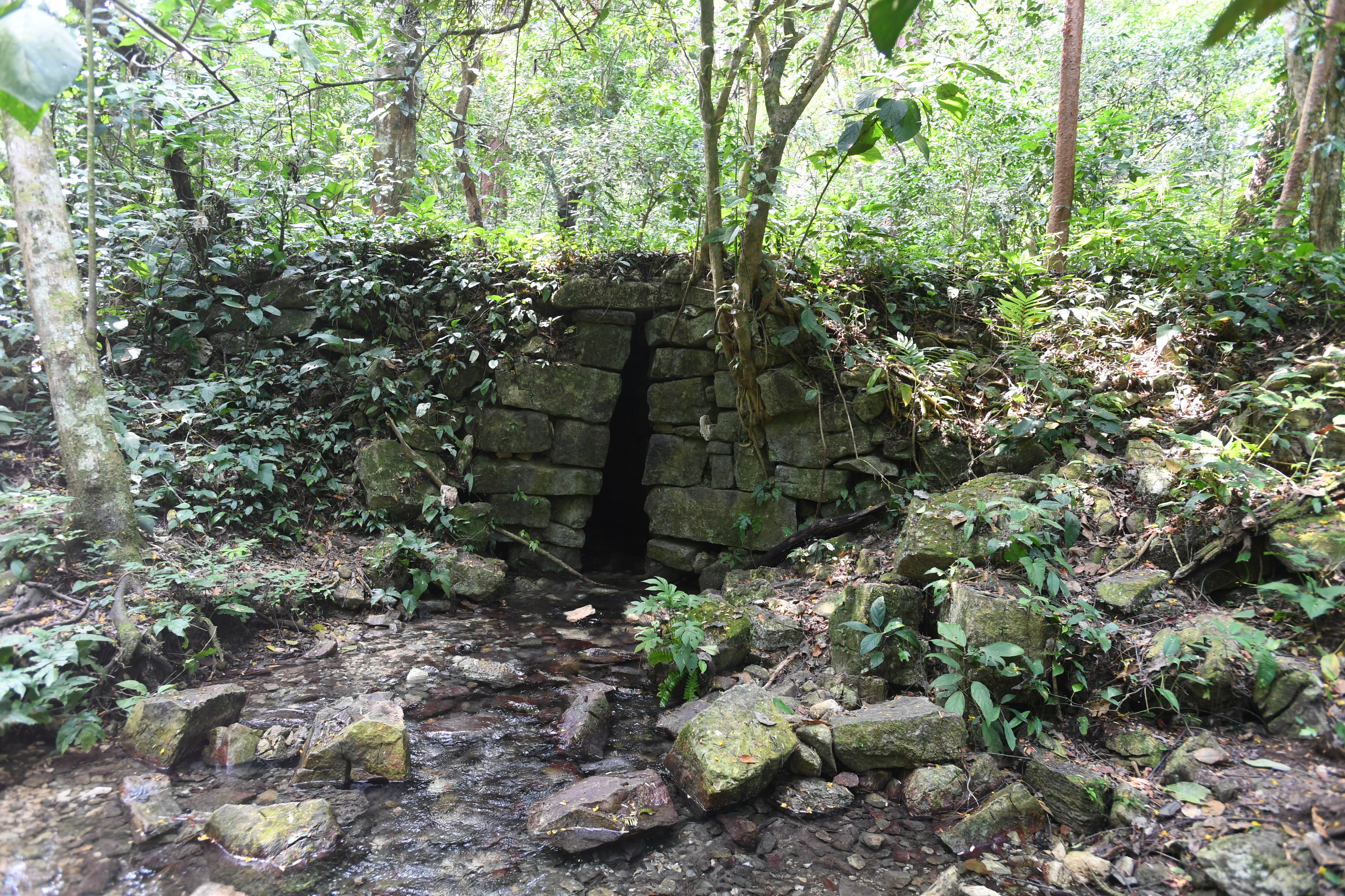 Palanque