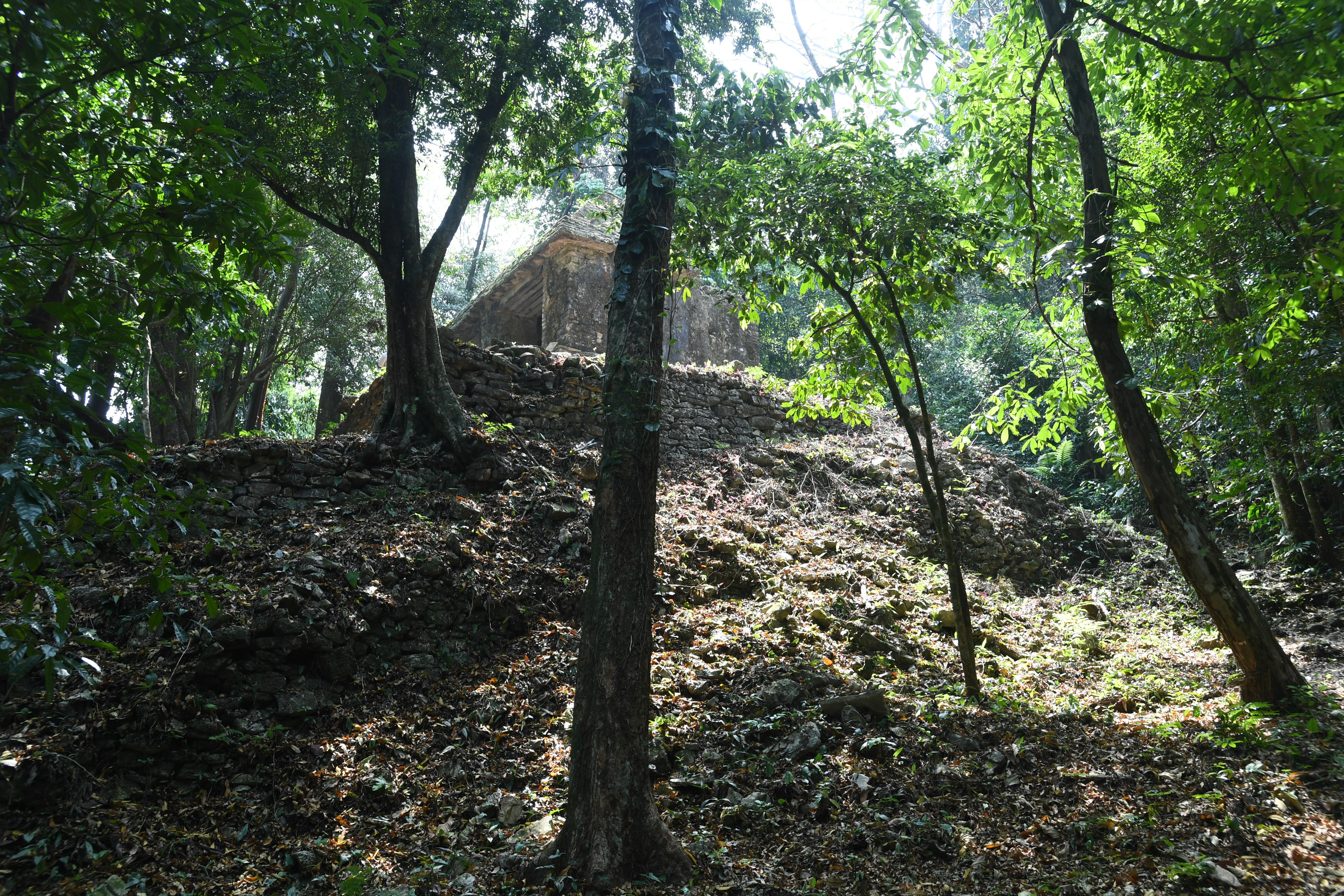 Palanque