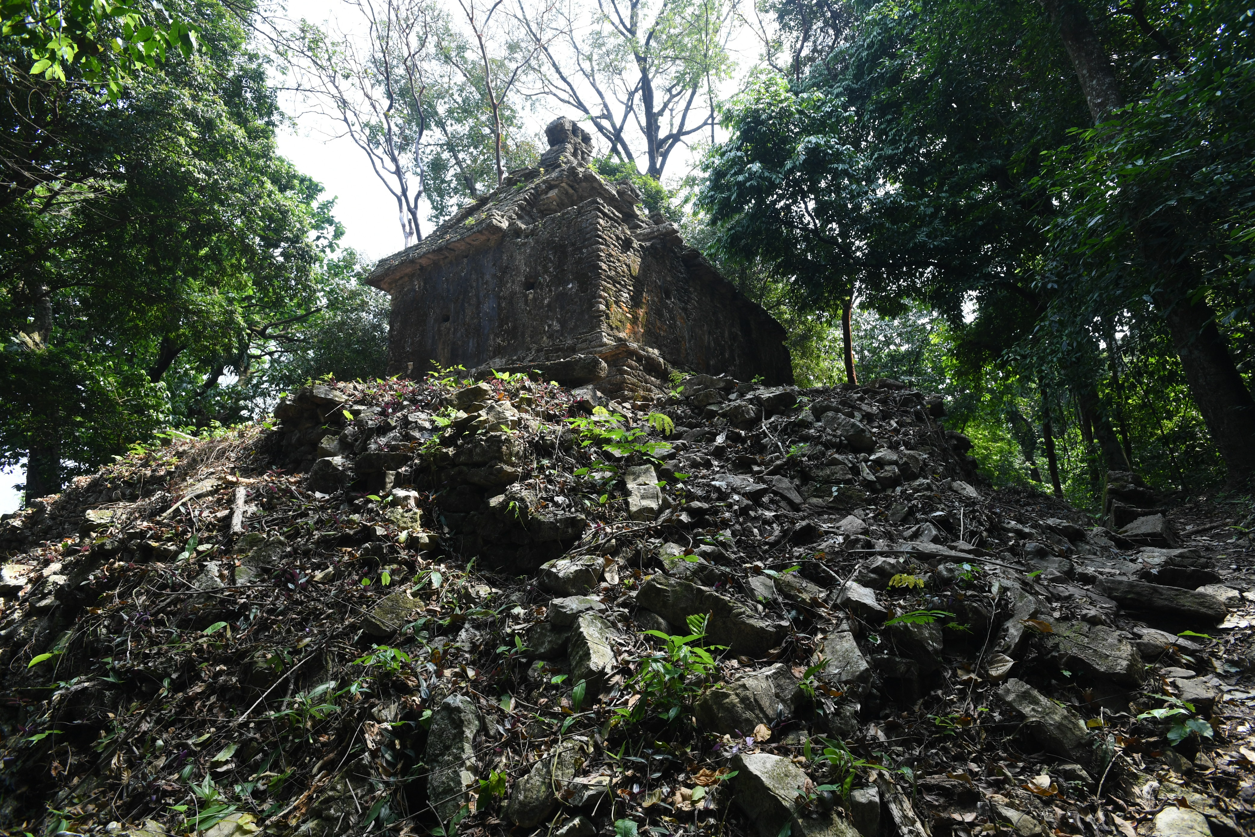Palanque