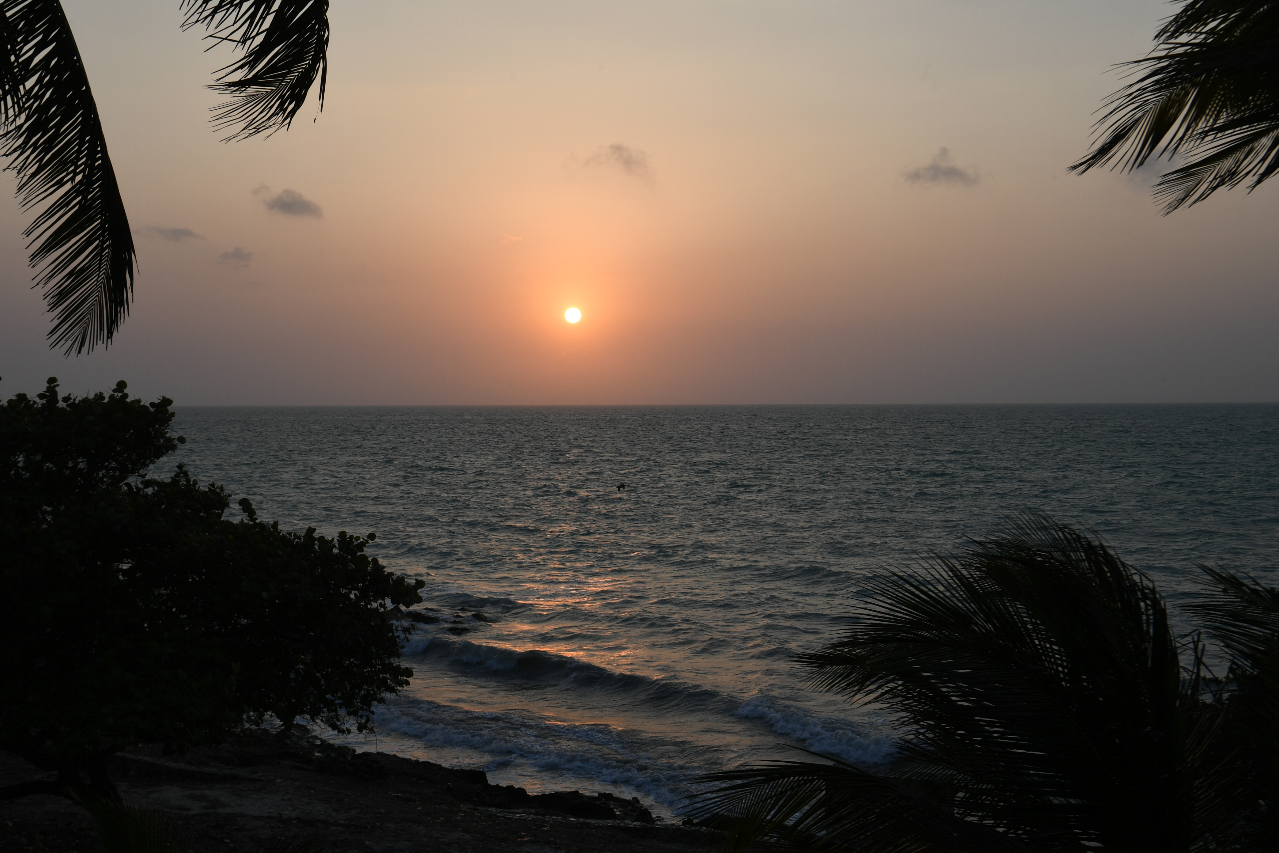 Siho Playa, Campeche
