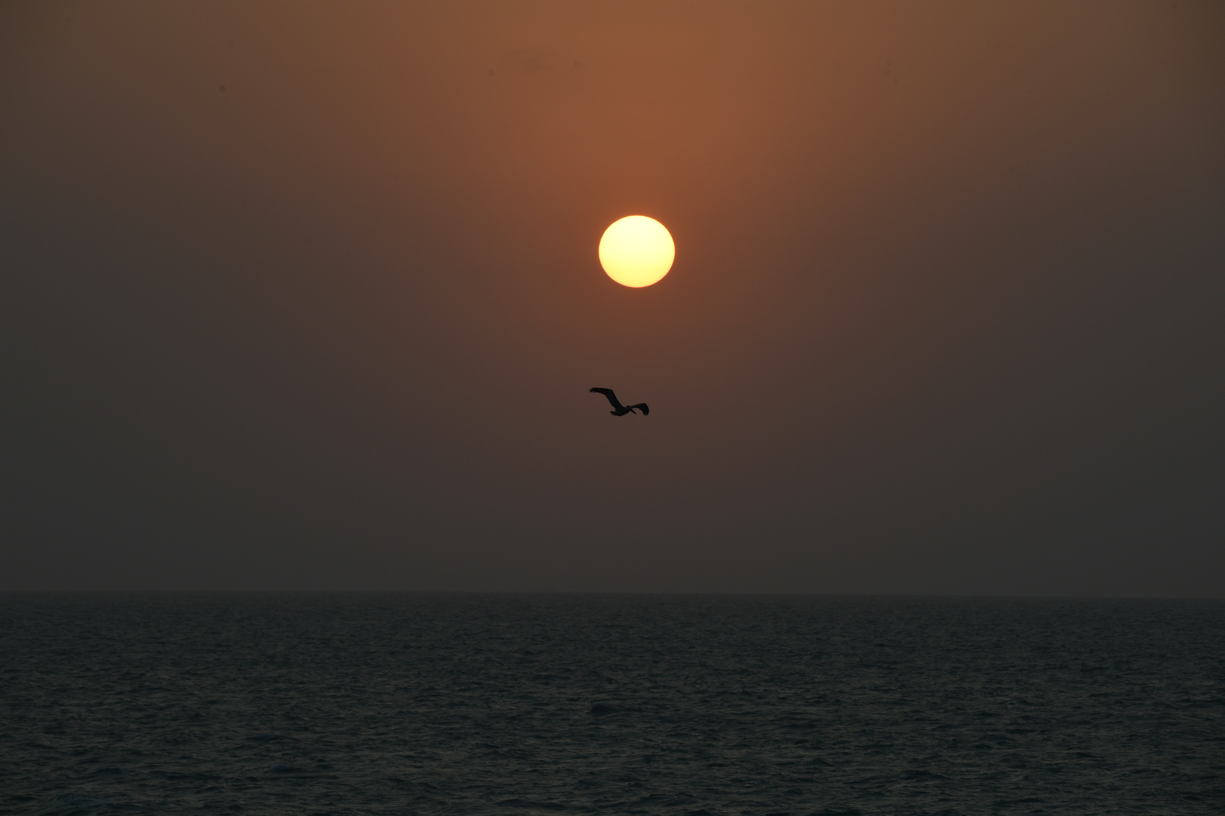 Siho Playa, Campeche