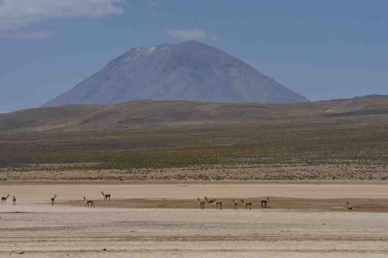 Altiplano, Peru, 09./10.2008