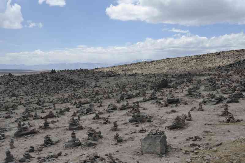 Patapampapass, Peru, 09./10.2008