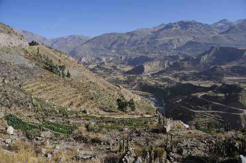 Colca Canyon, Peru, 09./10.2008